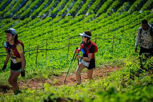 BIB: 
                            <button type="button" onclick="openModal(19162890)" class="btn btn-primary btn-sm float-right btn-popup" data-toggle="modal" data-target=".modal-high-quality">
                        <i class="fas fa-shopping-cart"></i> Add to Cart
                    </button>
                                            <button type="button" onclick="isThisMe(19162890, true)" class="btn btn-success btn-sm float-right btn-popup btn-isme hidden" data-toggle="tooltip" data-placement="bottom" title="นี่คือรูปของคุณใช่ไหม คลิกที่นี่เพื่อเอาเข้าอัลบั้ม">
                        <i class="fas fa-plus"></i> Add to album
                    </button>
                    <button type="button" onclick="isThisMe(19162890, false)" class="btn btn-warning btn-sm float-right btn-popup btn-isnotme hidden">
                        <i class="fas fa-ban"></i> Remove from album
                    </button>